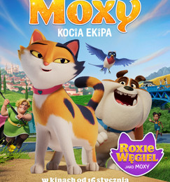 Miss Moxy. Kocia ekipa – premiera/Kino Dzieci