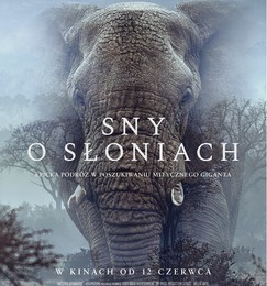 Sny o słoniach – premiera