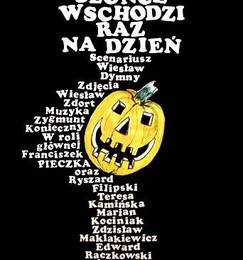 Krótka historia polskiego kina: Słońce wschodzi raz na dzień