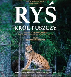 RYŚ. KRÓL PUSZCZY