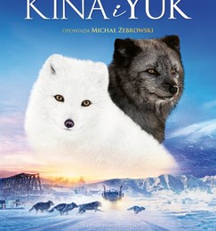 Kina i Yuk