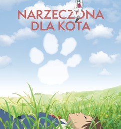 NARZECZONA DLA KOTA