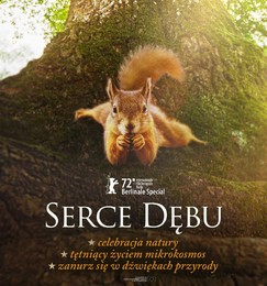 SERCE DĘBU