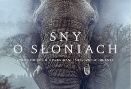 Sny o słoniach – premiera